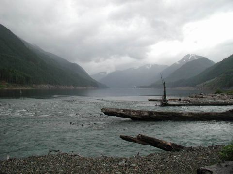 1990 Ford F-250 - A wide shot of a lake surrounded by forested mountains under a cloudy sky. Several logs are visible in the water and along the shore.