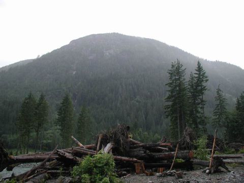 1990 Ford F-250 - A pile of logs and debris is in the foreground, with a dense forest and a mountain in the background.