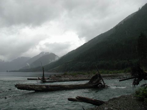 1990 Ford F-250 - A cloudy day over a lake with mountains in the background and several large logs in the foreground.
