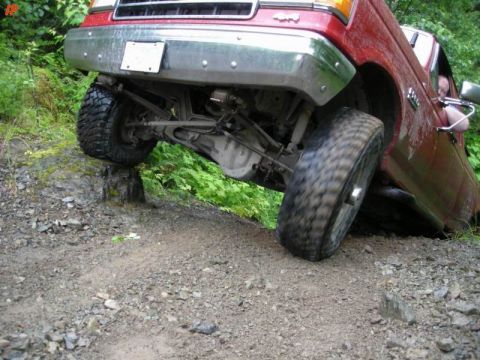 1990 Ford F-250 - Clifford showing off his chicken wings.