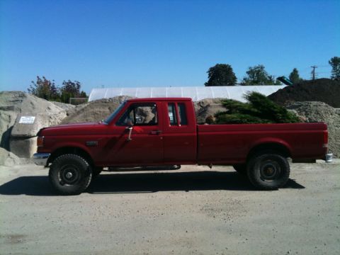 Red Ford F-250 pickup truck parked with evergreen branches in the bed, gravel lot, sand piles.