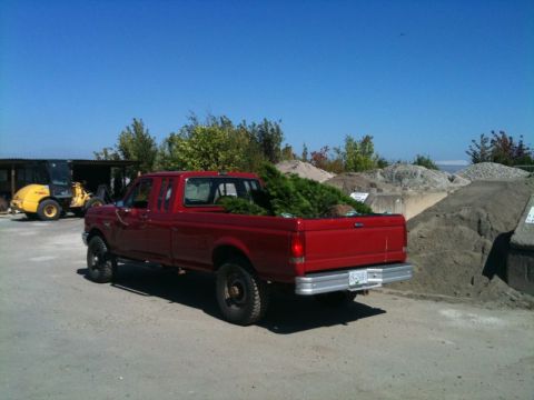 Red Ford F-250 pickup truck loaded with trees, parked in a lot with a yellow loader in the background.
