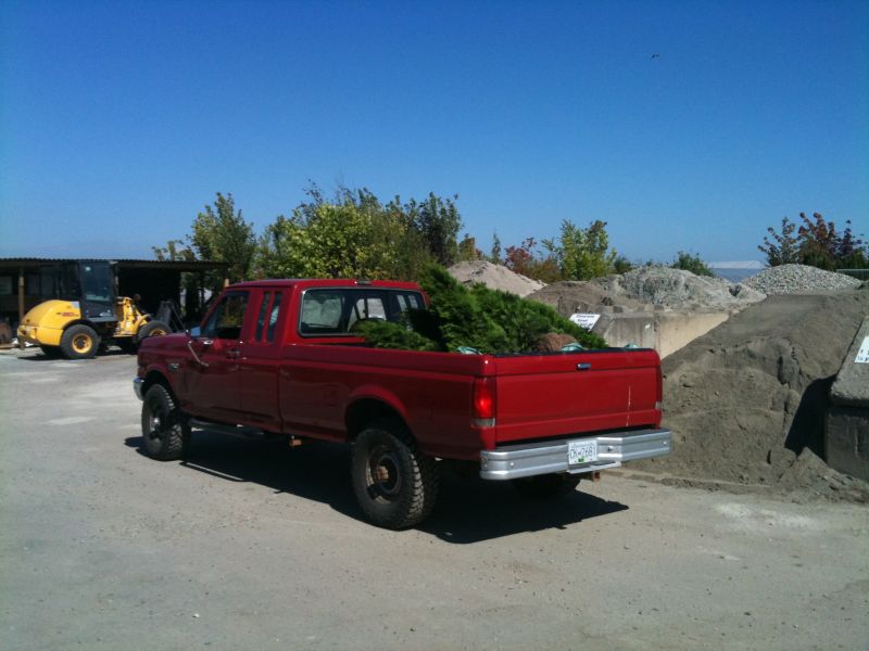 Red Ford F-250 pickup truck loaded with trees, parked in a lot with a yellow loader in the background.