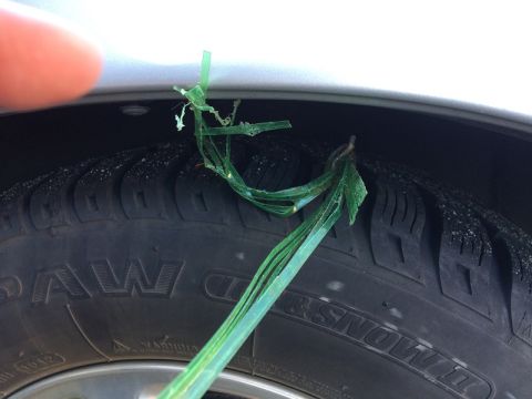 2002 Pontiac Grand Prix - A close-up view of a car tire with a green plastic strap impaled through the tread. The strap appears to be torn and is hanging loosely fro…