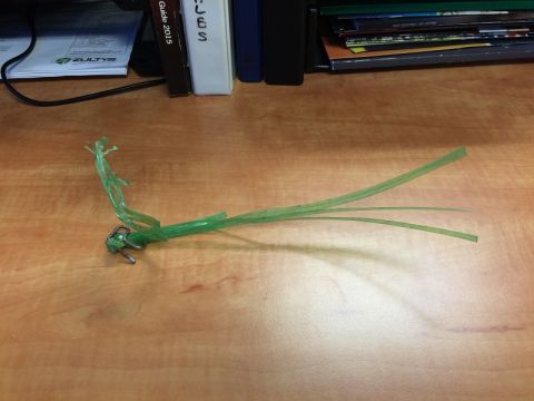 2002 Pontiac Grand Prix - A green plastic zip tie with a metal locking mechanism is shown on a wooden desk. The zip tie is broken and frayed, with several thin stran…