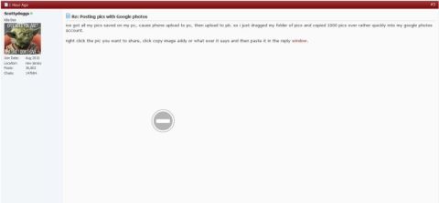 2002 Pontiac Grand Prix - A screenshot of a forum post with a user profile picture of Yoda and text discussing posting pictures with Google photos. The post includes…