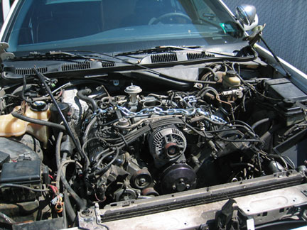 1996 Ford Crown Victoria - The engine bay of a 1996 Ford Crown Victoria is shown with the V8 engine exposed.