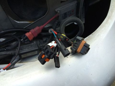 2002 Pontiac Grand Prix - Left headlight wiring.