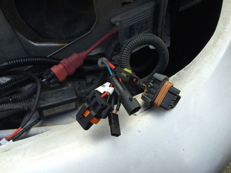 Left headlight wiring.