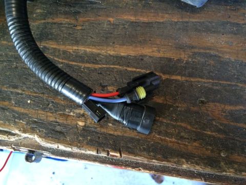 2002 Pontiac Grand Prix - A close-up view of a black wire loom with red and blue wires exiting, connected to two black electrical connectors. The connectors are on a…
