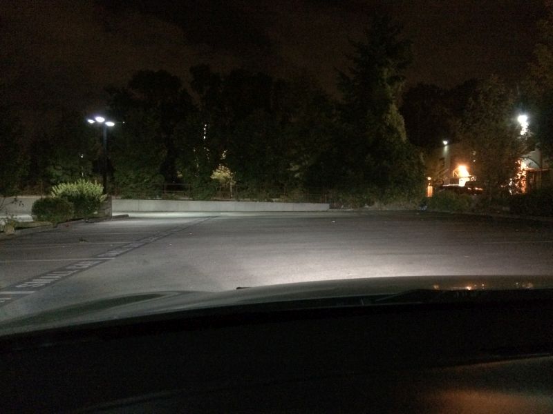 Foglights.
