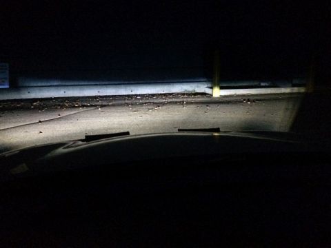 2002 Pontiac Grand Prix - Fogs.
