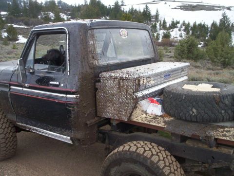 1978 Ford Bronco - A black pickup truck, covered in mud, sits in a rural, snowy landscape with a dog in the driver's seat.