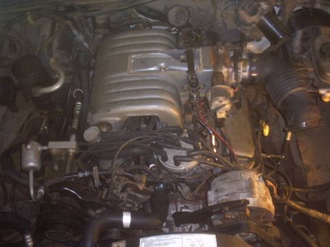 1991 Ford LTD Crown Victoria - The engine bay of a 1991 Ford Crown Victoria reveals its V8 engine, complete with a silver intake manifold and an array of hoses and wiring.