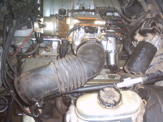 engine bay with air intake hose, fuel rail, and various hoses and wires