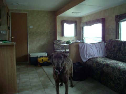 1992 Ford Bronco - A dog stands in the living area of a trailer, with a couch and windows visible.