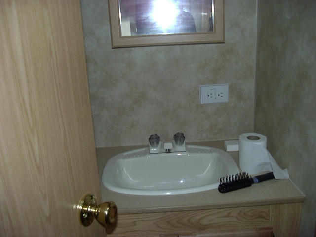 Bathroom sink area with a roll of toilet paper and a hairbrush on the counter