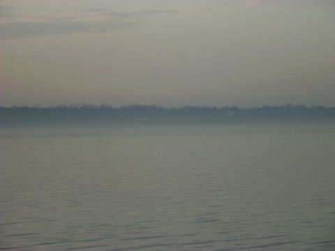 1992 Ford Bronco - Water and treeline visible under hazy sky, with SUPERMOTORS.NET logo.