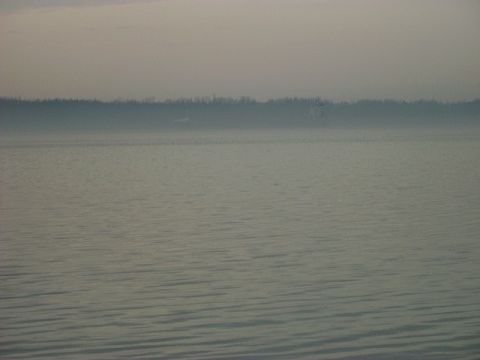 1992 Ford Bronco - A hazy view across calm water towards a distant, tree-lined shore.