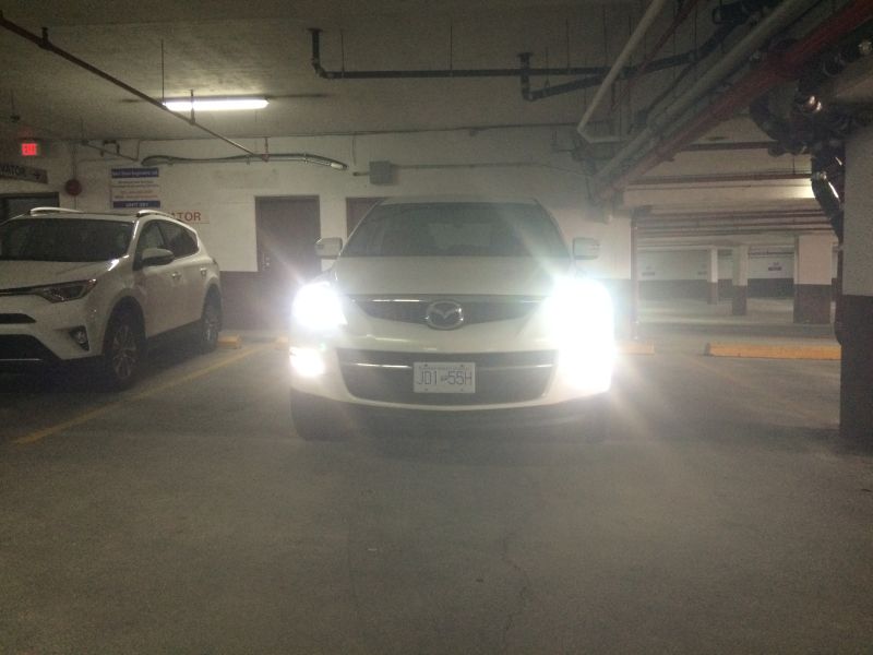 Fogs & low beams.