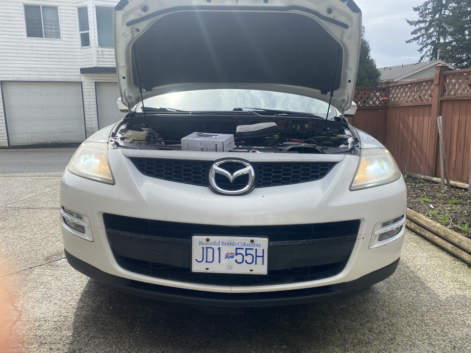 The dirty yellow high beams (Piaa Xtreme White, 4000K) vs the HID low beams (Morimoto XB D Series, 5500K).
