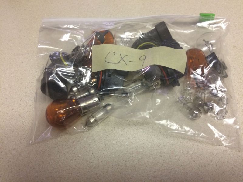 Bag of incandescent bulbs.