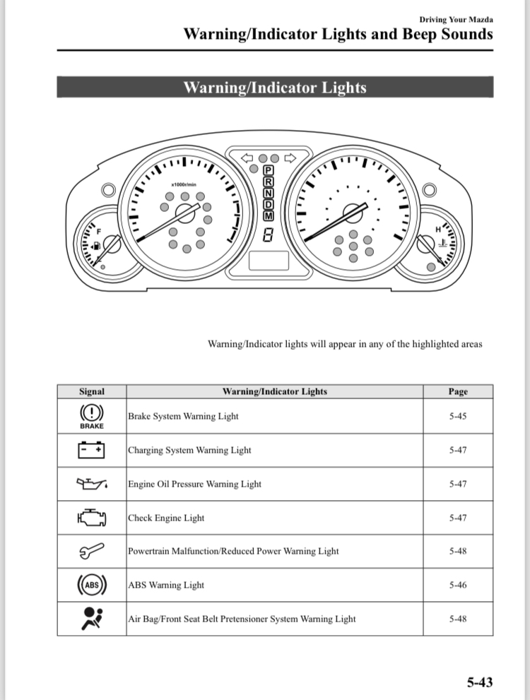 Dash warning/indicator lights.