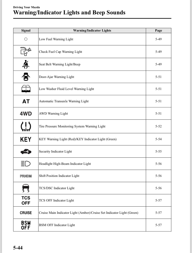 Dash warning/indicator lights.