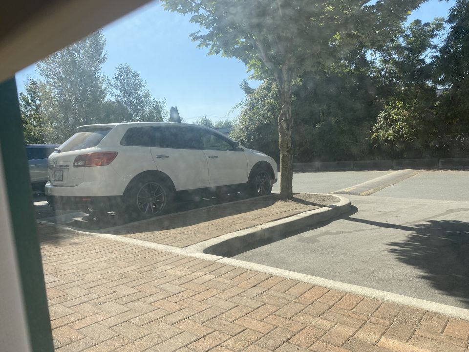 White Mazda CX-9 parked next to a tree and brick walkway