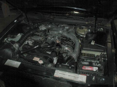 1990 Ford Thunderbird “SuperBlue”
