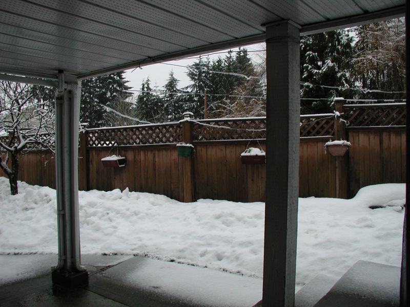 December 30, 2008
