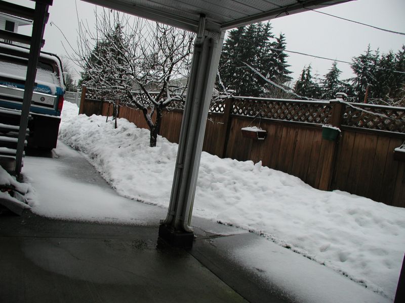 December 30, 2008