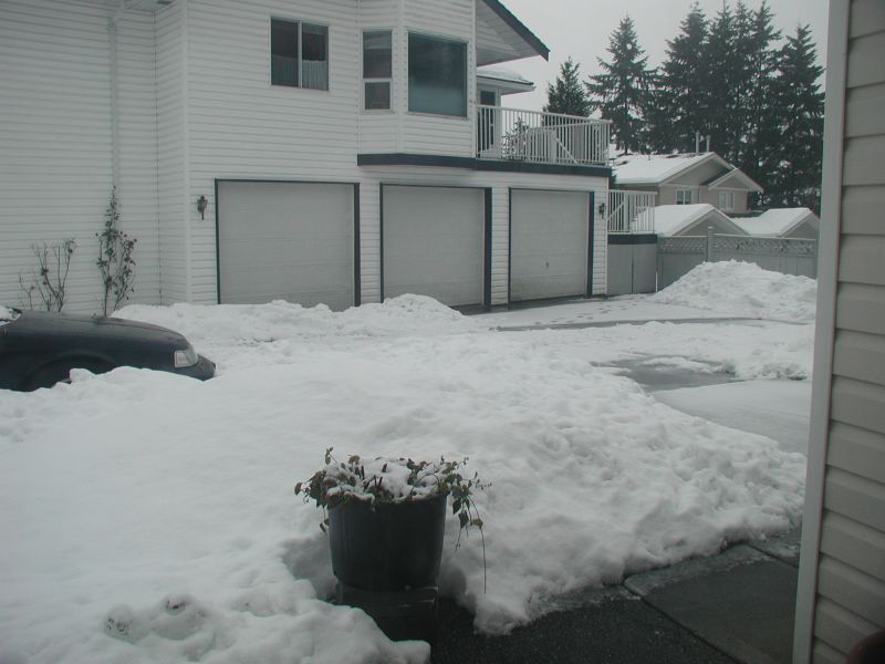 December 30, 2008