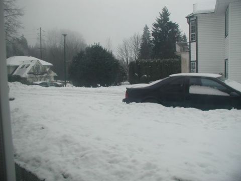 1990 Ford Thunderbird - December 30, 2008