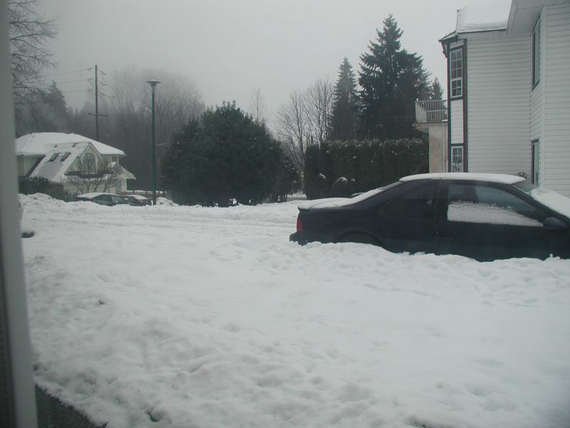 December 30, 2008