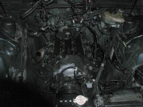 1990 Ford Thunderbird “SuperBlue”