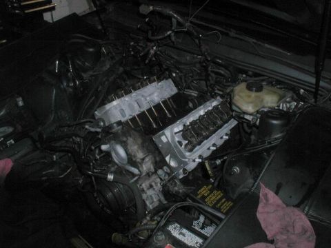 1990 Ford Thunderbird “SuperBlue”