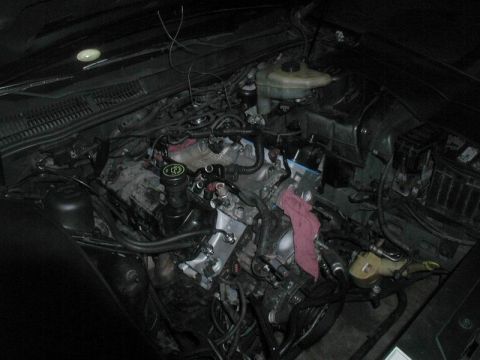 1990 Ford Thunderbird “SuperBlue”