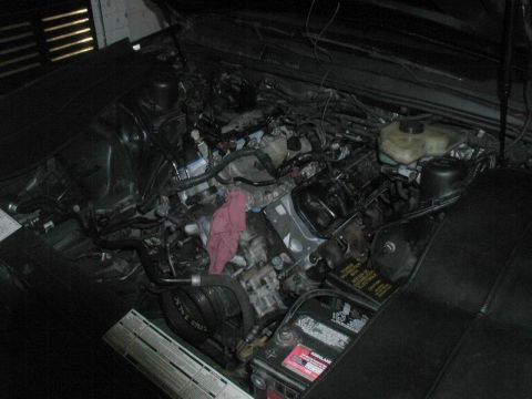 1990 Ford Thunderbird “SuperBlue”