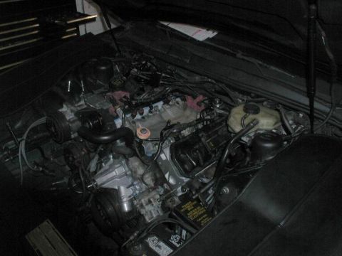 1990 Ford Thunderbird “SuperBlue”