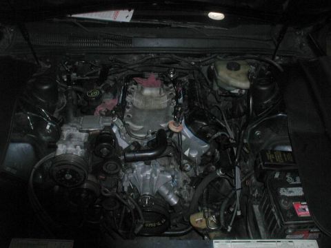 1990 Ford Thunderbird “SuperBlue”