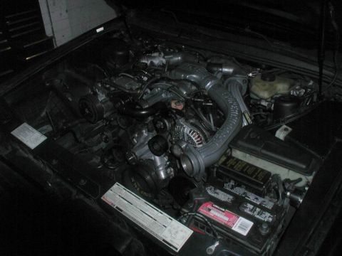 1990 Ford Thunderbird “SuperBlue”