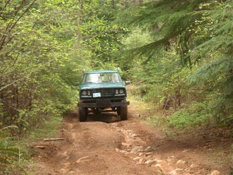 1979 Ford Bronco - This 1979 Ford Bronco navigates a challenging dirt path through a dense forest.