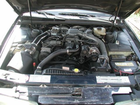 1990 Ford Thunderbird “SuperBlue”