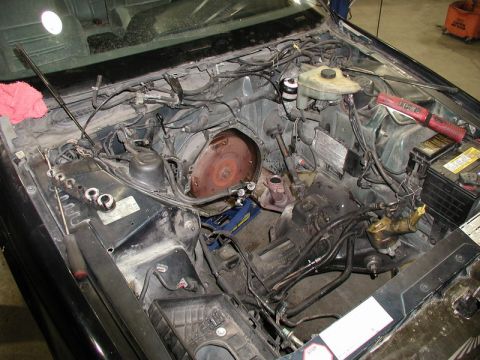 1990 Ford Thunderbird “SuperBlue”