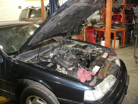 1990 Ford Thunderbird “SuperBlue”