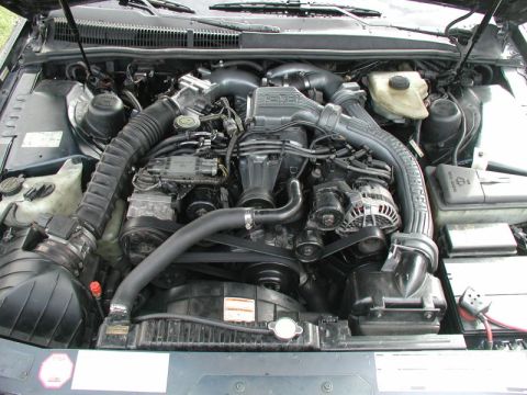1990 Ford Thunderbird “SuperBlue”