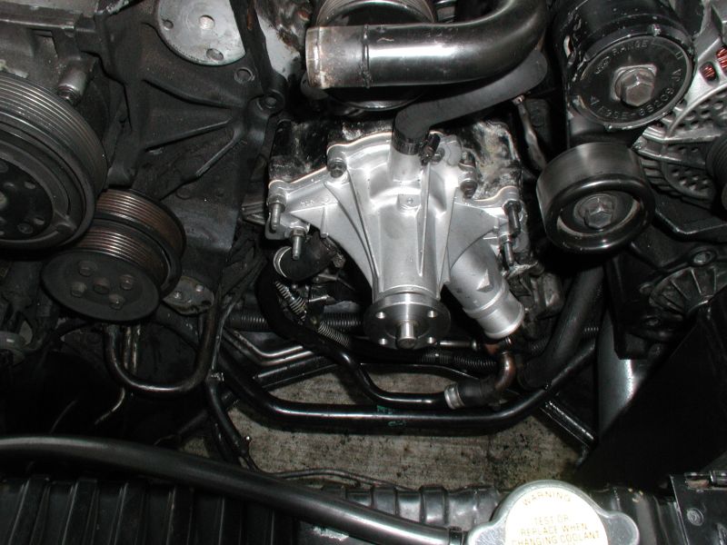 Engine bay with new silver water pump, hoses, pulleys, and belts.