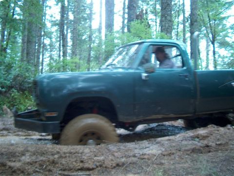 1979 Ford Bronco - Pickup truck stuck in mud during off-road excursion.