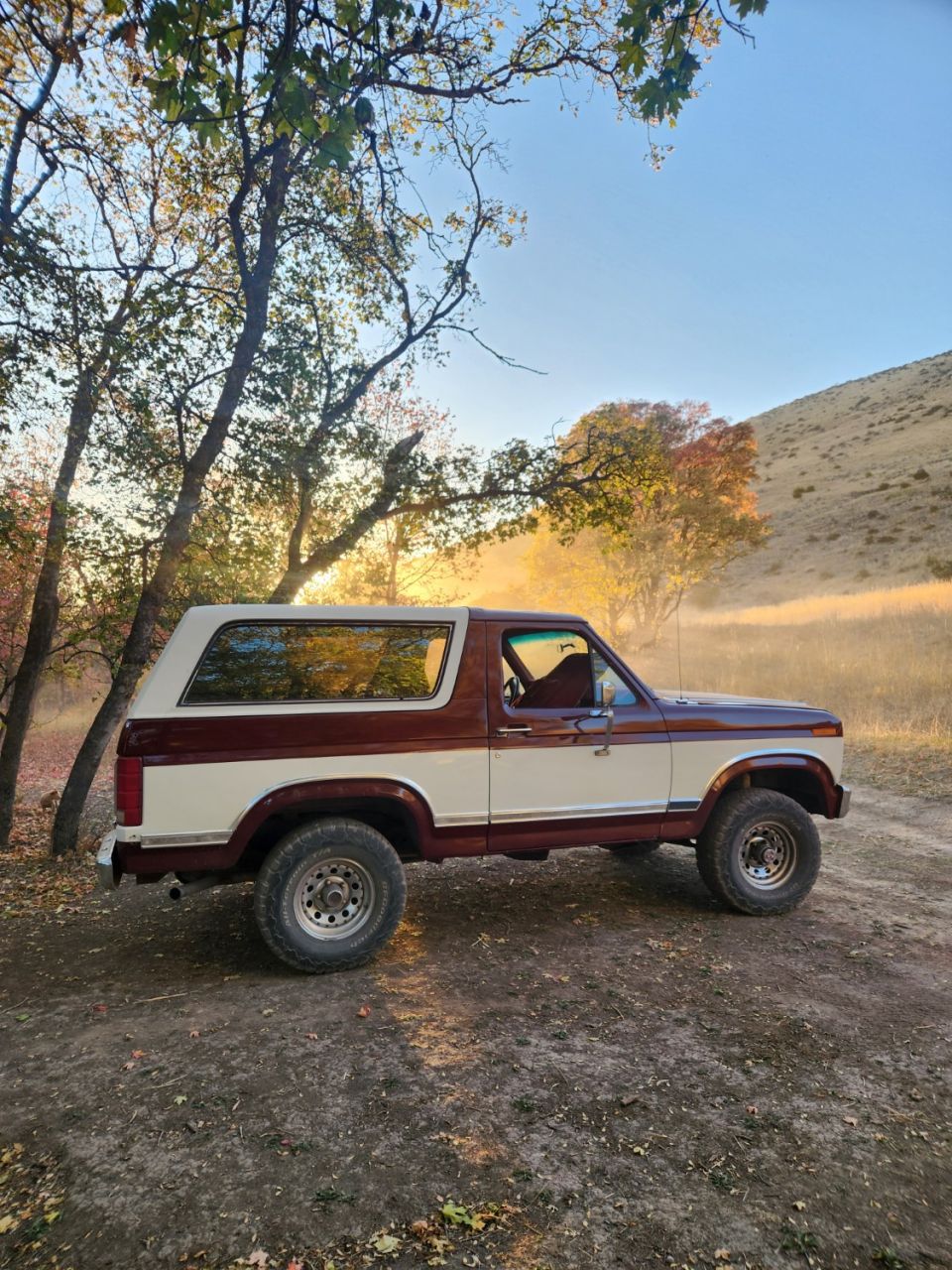 1986 Ford Bronco photo